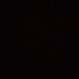 Meet your Posher, Daisy